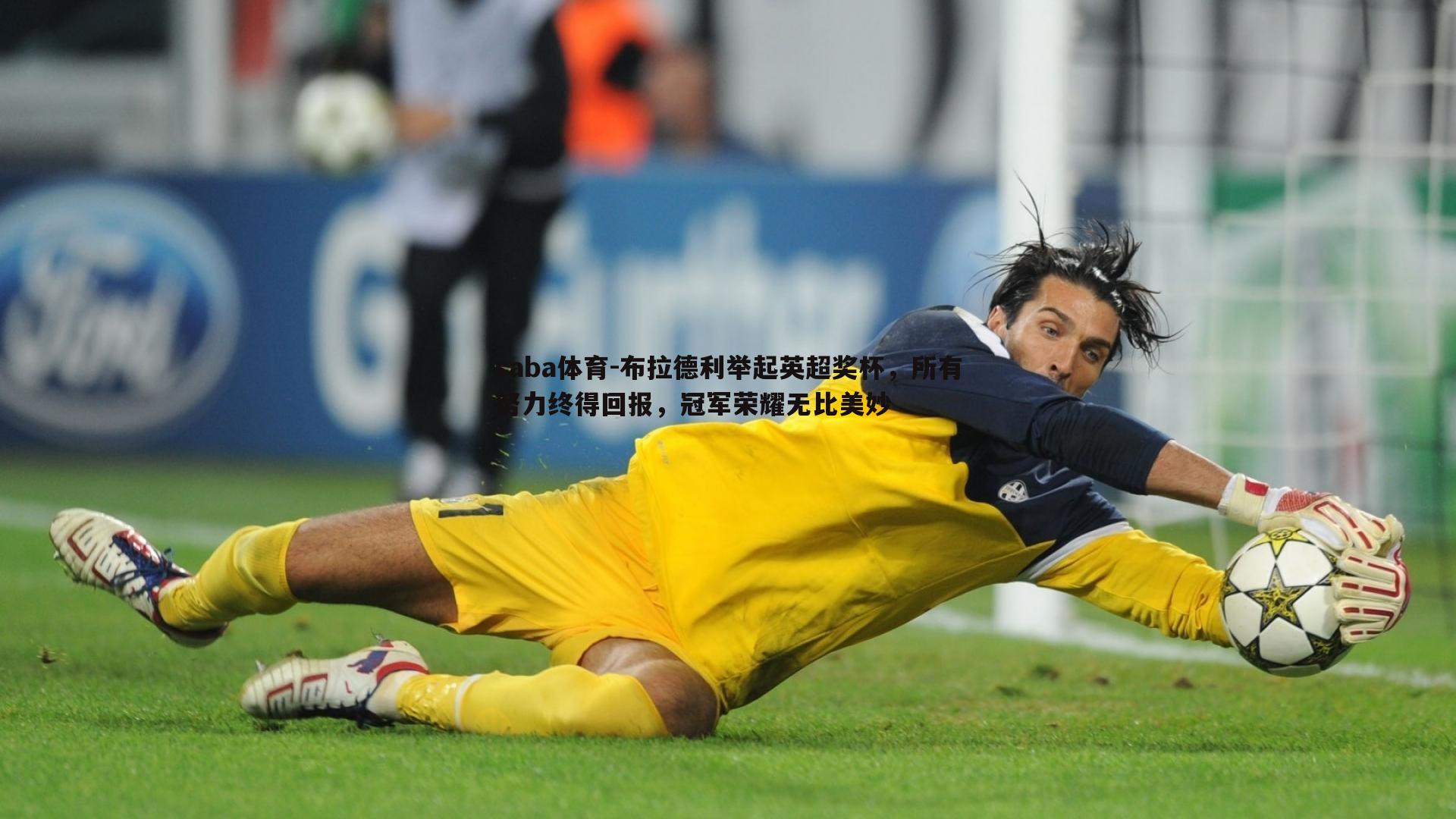 saba体育-布拉德利举起英超奖杯，所有努力终得回报，冠军荣耀无比美妙-第1张图片-saba体育